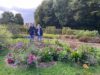 hortifolies et green expo gplants fournisseur pro3