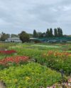 5-fournisseur services techniques communaux-végétaux pour communes-professionnels parc et jardin