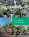 montage avec 3 photos: équipe gplants (fournisseur végétaux pour professionnels parc et jardin et administrations publics) rencontrant les fournisseurs en pépinière, choisissant des arbres et plants. Il y a également un texte indiquant 